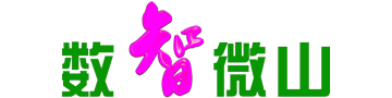 数智微山技术联盟